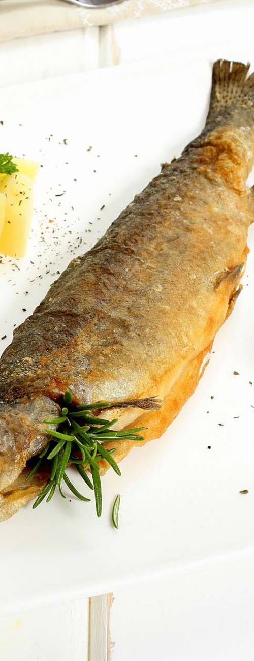 rout with side dish in whole